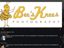 Tablet Screenshot of beeskneesphotographyms.us
